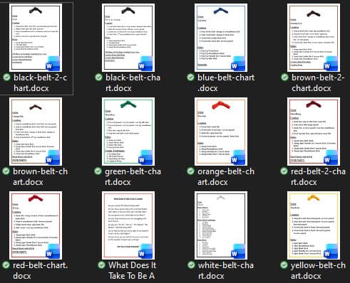 BlackBeltShop Sporting Goods Home Study Black Belt Training Program