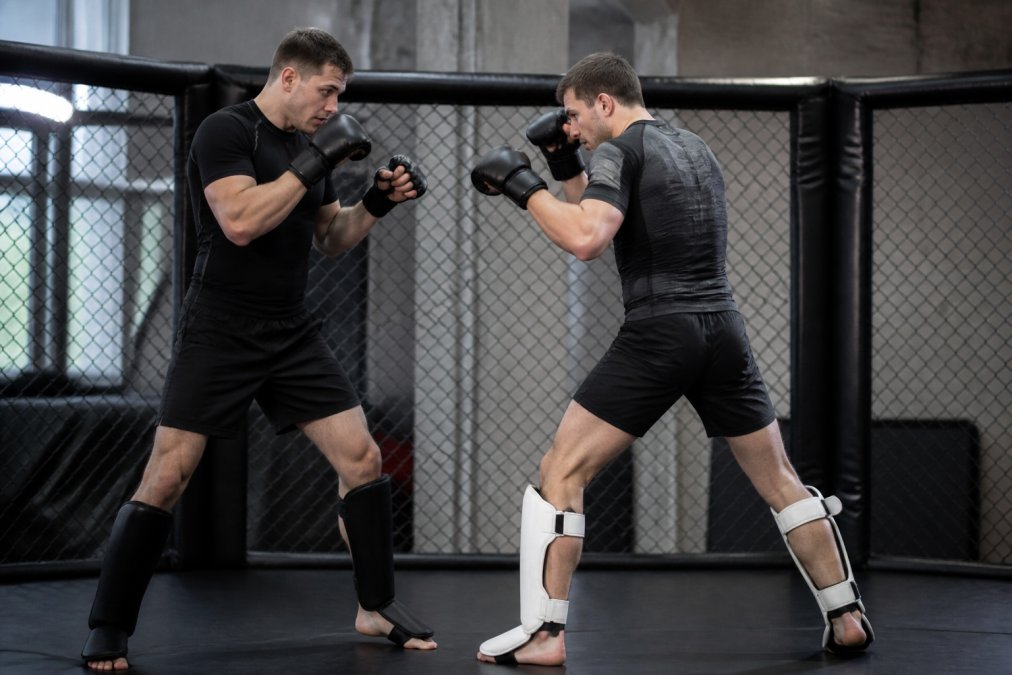 MMAOverload Alternative: Competition-Ready Sparring Gear
