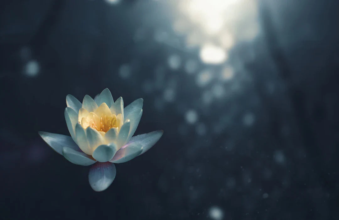 The Power of Meditation and Mindfulness in Taekwondo