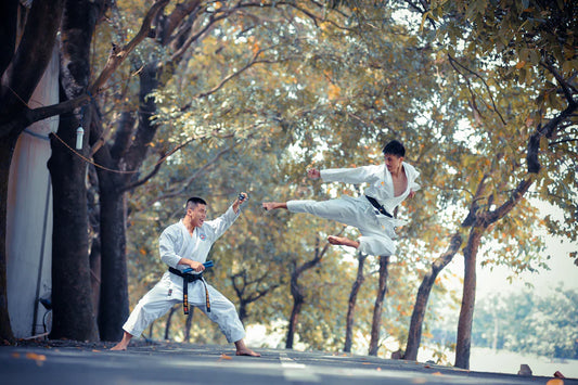 The Fascinating Journey of Martial Arts Through Time