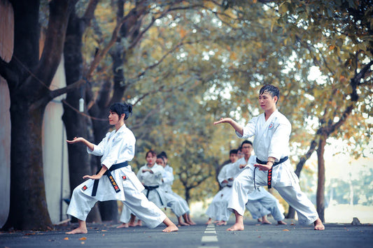 Find Your Fit Choosing the Right Martial Art for You