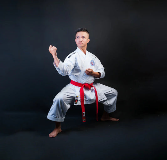 The Evolution of Martial Arts Movies  Their Cultural Impact
