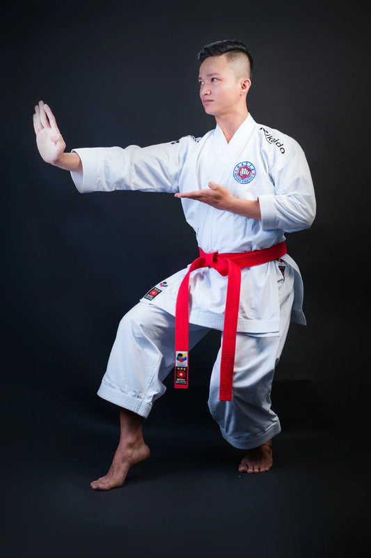 Support Your Loved One on Their Martial Arts Journey
