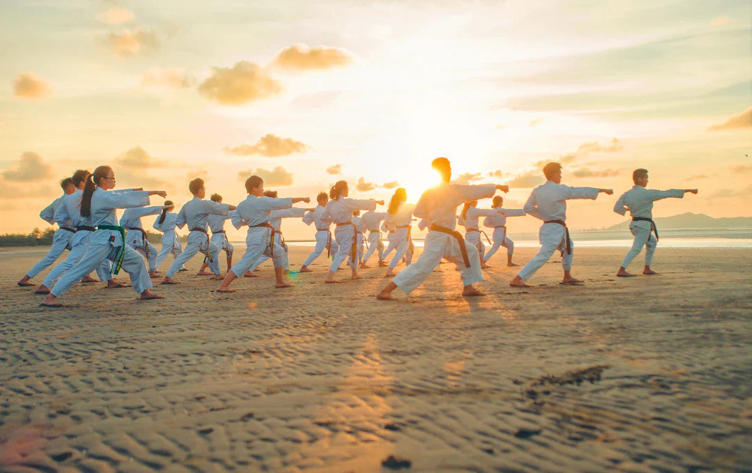 The History of Martial Arts Ancient Traditions to Today