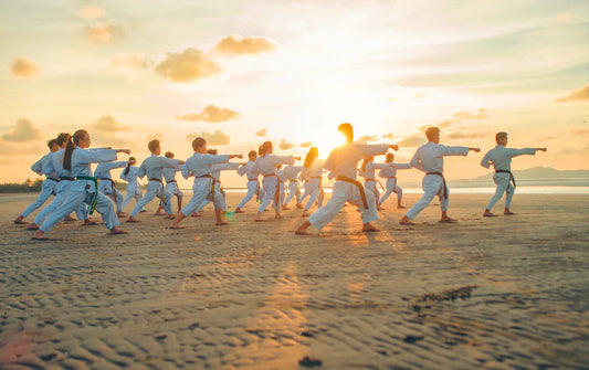 The History of Martial Arts Ancient Traditions to Today