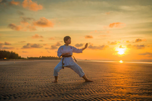 Forge Your Strength Build Resilience with Kenpo Training