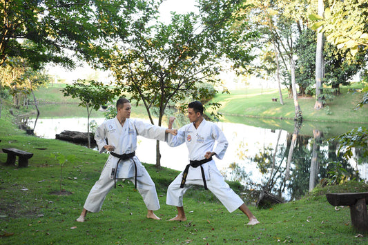 Explore Martial Arts Your Guide to Different Styles