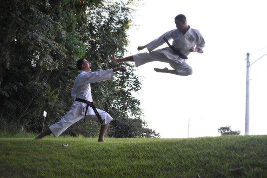 Mastering Your Kenpo Journey Set Achievable Goals