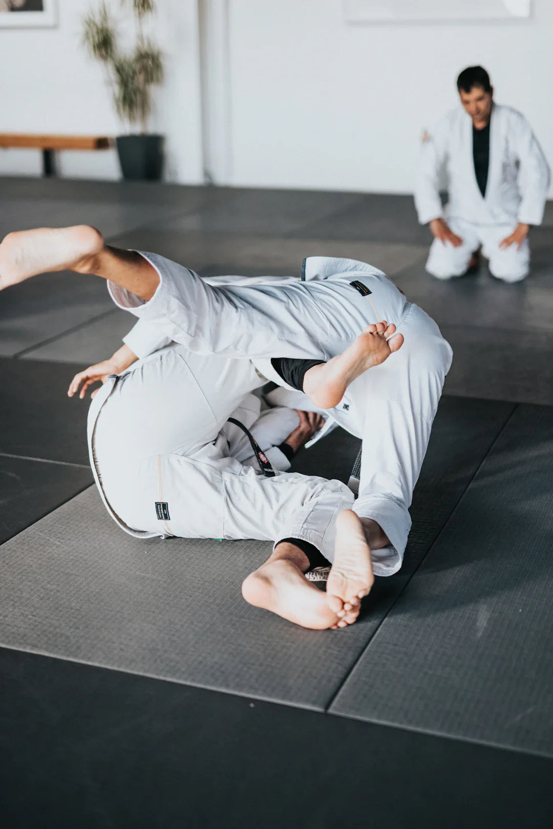 Explore Martial Arts Competitions Tournaments  Championships