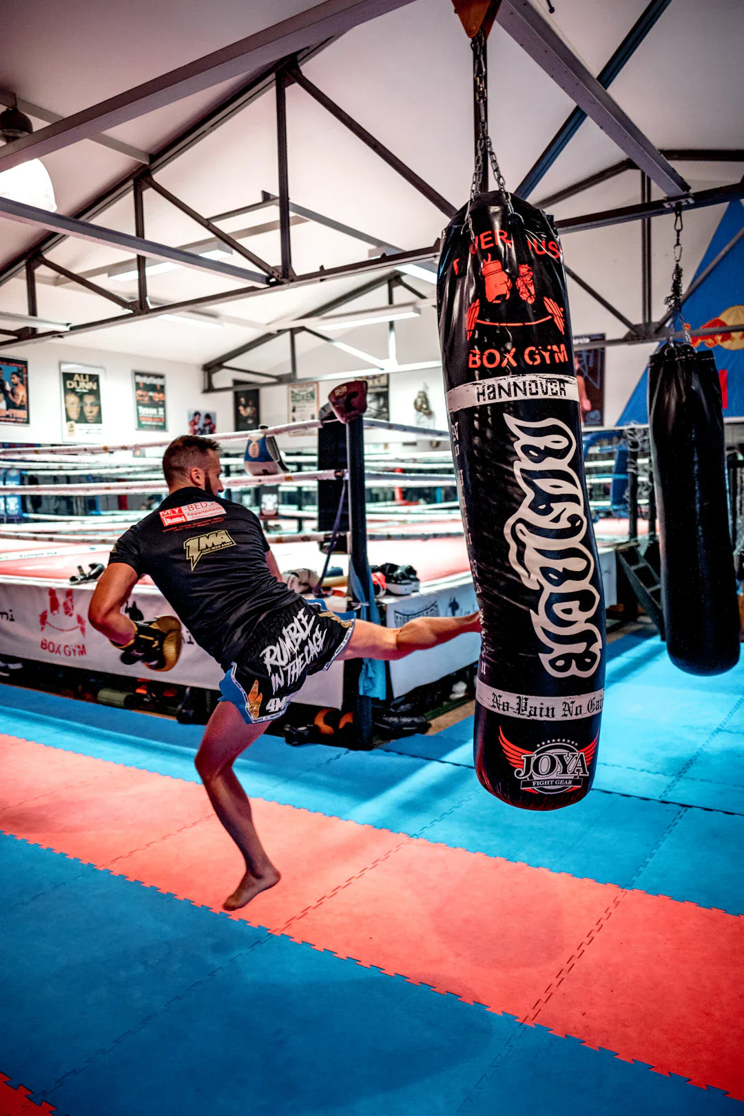 Mastering the Dojo A Guide to Taekwondo Training