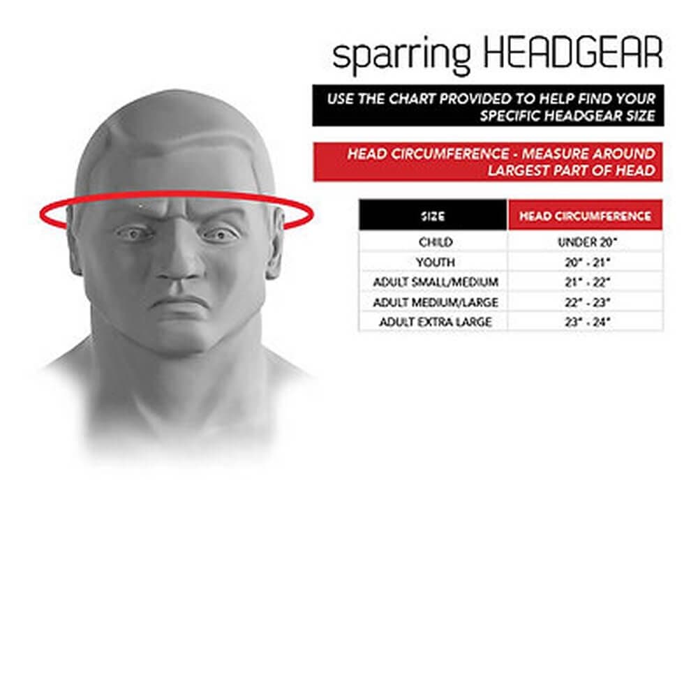 Century Sparring Gear P2 Full Face Headgear with Shield Double Layer