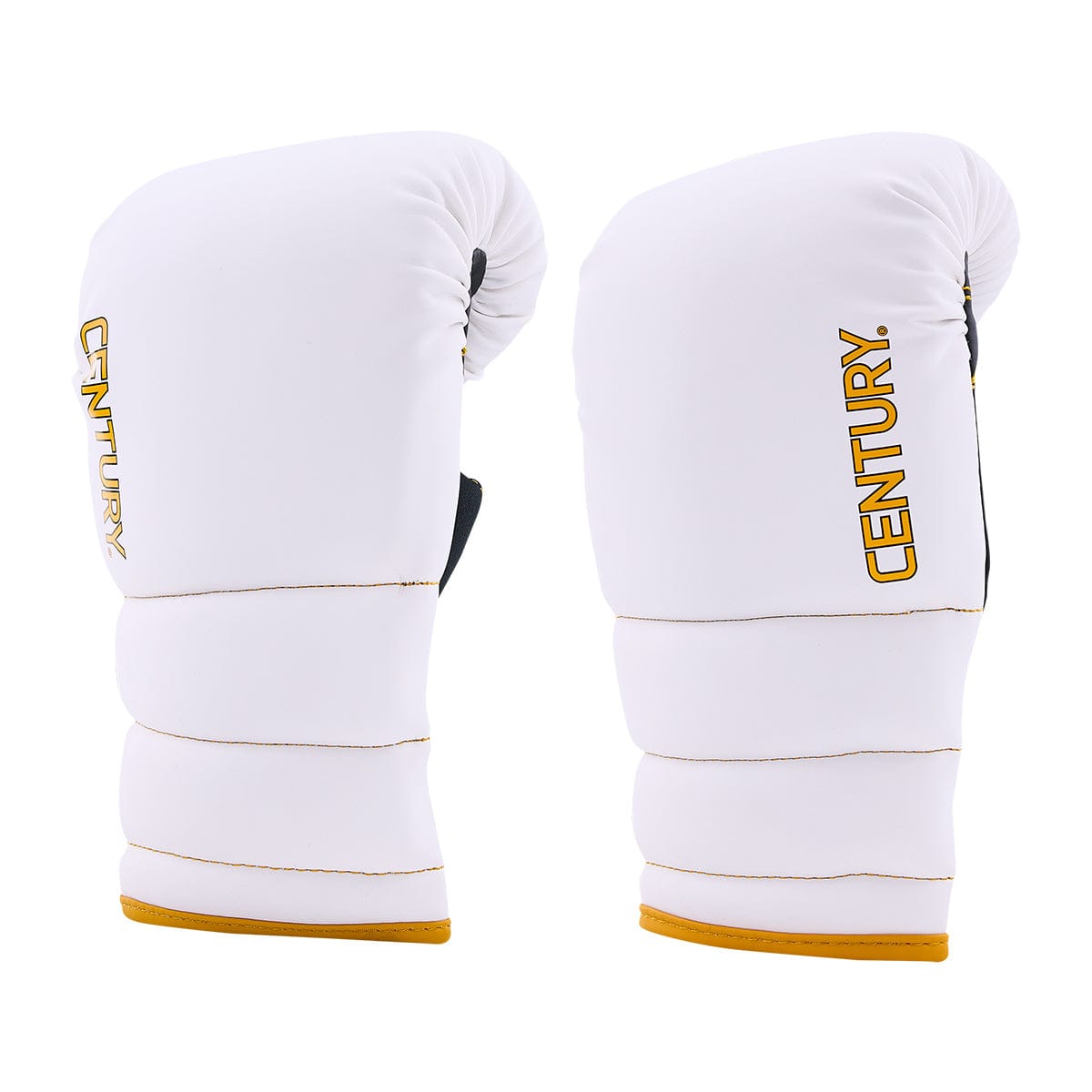 Century sporting goods Adult Partner Training Combo Glove and Mitts