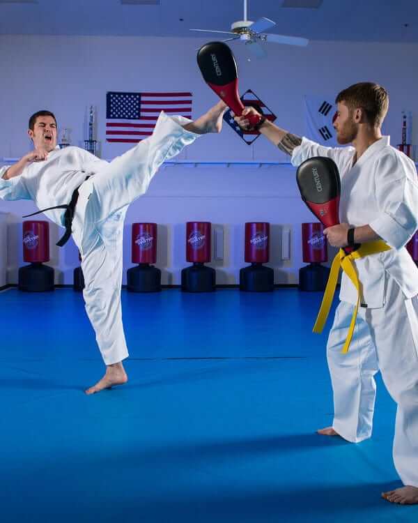 Eclipse Martial Art Supplies sporting goods Century DRIVE SINGLE TARGET Taekwondo Paddle