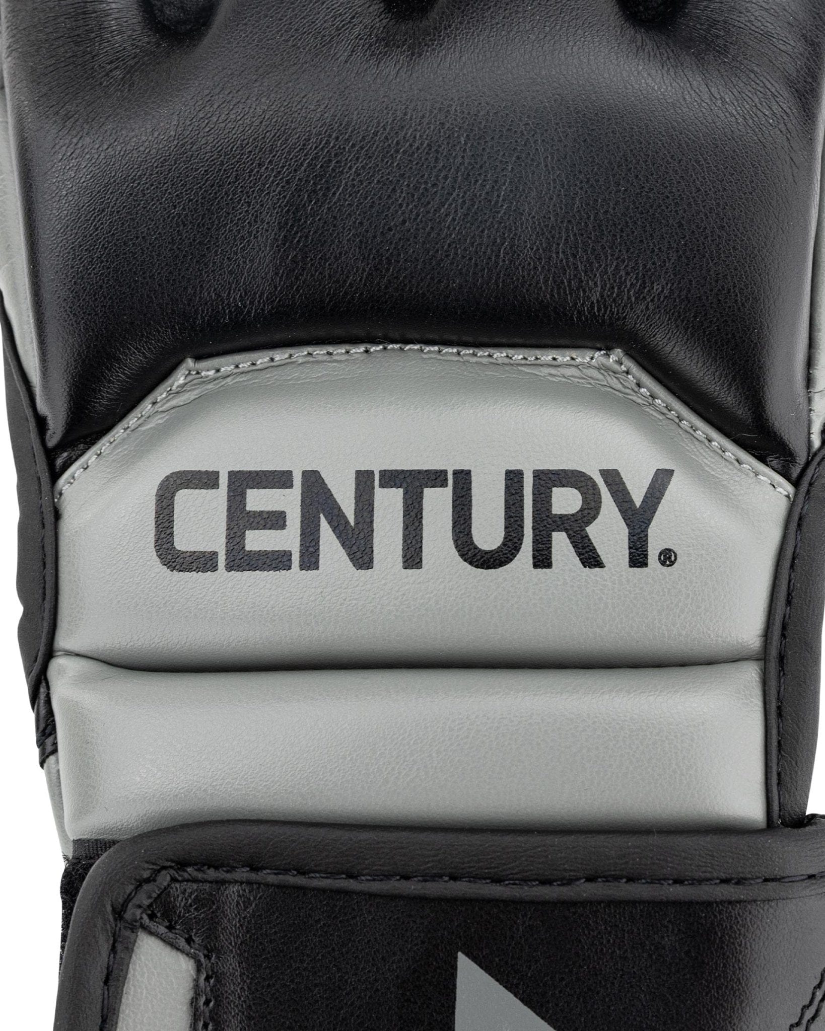 Eclipse Martial Art Supplies sporting goods Century DRIVE Youth Fight Glove