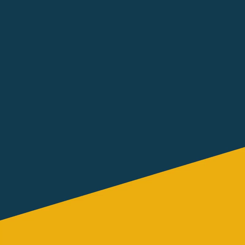 vx-sq-p-2167ea54b0610ed9ee2661761978b359-1750335309