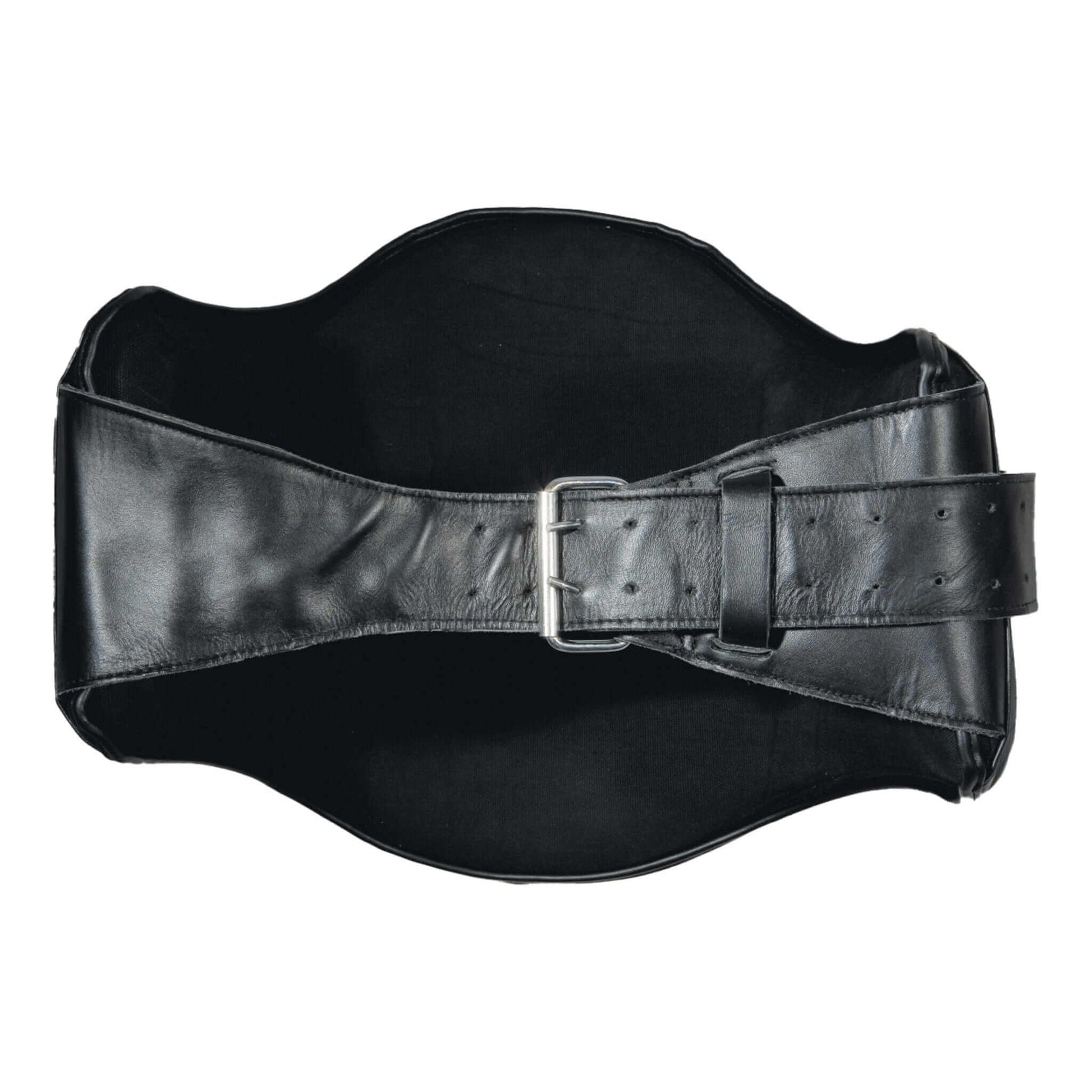 ProForce sporting goods ProForce Thunder Deluxe Abdomen Shield